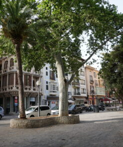 Palma - Altstadt - Plaza del mercat