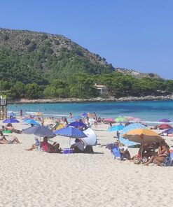 Cala Agulla - Badebucht im östlichen Mallorca (2)