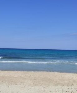 Cala Agulla - Badebucht im östlichen Mallorca (4)