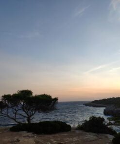 Cala Pi 9 - Strandbuchten auf Mallorca