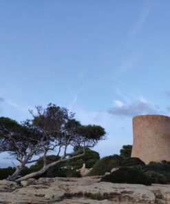 Cala Pi 10 - Strandbuchten auf Mallorca
